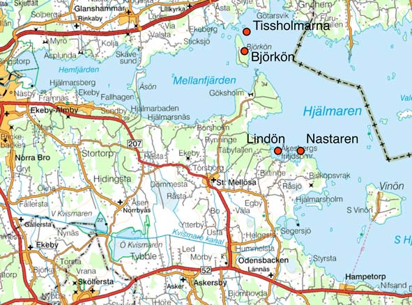 Inledning Linden är ett trädslag som hyser ovanligt många specialiserade vedlevande skalbaggar. Bland ädellövträden överträffas den i Sverige enbart av eken och boken (Jonsell m. fl. 1998, Palm 1959).