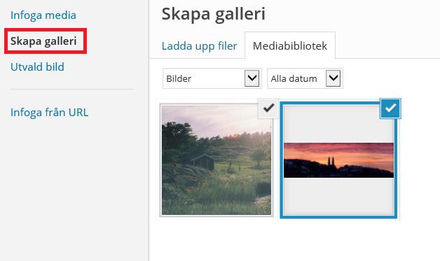 Lägga till bildgalleri Ett bildgalleri innebär flera små bilder i rad, som öppnas när man klickar på dem. 1. Klicka på kanppen Lägg till media över menyraden. 2.