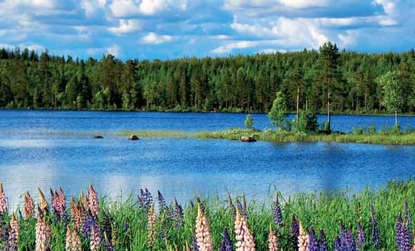 Malmsjöns FVOF Kp Håkan Lind Risselås 833 33 Strömsund Tfn...070-697 65 16 Ohredahke sameby Länsstyrelsen i Jämtlands län 831 86 Östersund Tfn.