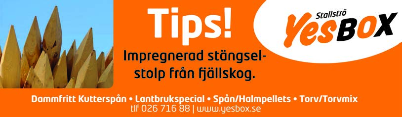 ELDSTJÄRN 1660 :1 29,4 K 28,7 AK 123.700 10,br. v. e Elding - 14: 1 0-0-0 31,3 2.000 13: 3 0-0-0 30,6 2.
