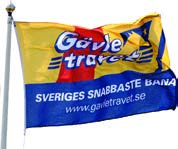 GÄVLE TRAVSÄLLSKAP KONTAKTUPPGIFTER & TÄVLINGSRUTINER Adress Box 956, 801 33 Gävle Telefon 026-66 22 00 Fax 026-66 22 01 Resultat 0771-10 20 56 Öppettider Måndag-torsdag 7.30-16.00 Fredag 7.30-12.