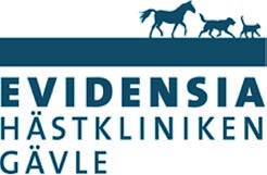 HÄNT SEN SIST nyheter från gävletravet BERGSÅKER 31 OKTOBER Jenni H Åsberg hittade de rätta luckorna med Googla Sutola som var en överraskande vinnare till hela 49 gånger pengarna.