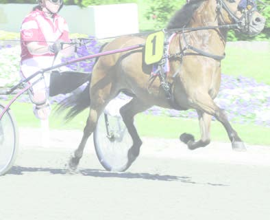 NORRLANDS PONNYELITSERIE 2014 TÄVLINSGKALENDER (Kat B): 7 Juni (Ös) JÄMTLANDS LILLA PRIS 14 Juni (Bo) LILLA NORRBOTTENS STORA PRIS 20 Juni (H) JÄRVSÖFAKS LILLA LOPP 21 Juni (Rä) LILLA MIDSOMMARLOPPET