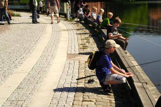 2.3 Fiskfauna och naturvärden Vattendragets storlek till trots finns relativt få vetenskapliga studier som beskriver fikfaunans sammansättning i ån.