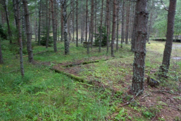 platserna (2, 3, 4 och 7). Innan virket levererades kapades det till rätt längd vid justerverket (10). Cirka 75 meter norr om doppningsplatsen finns ett grustag (5).