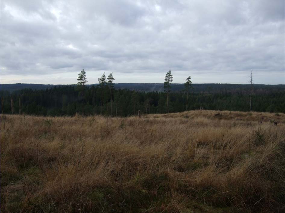 Samrådsunderlag
