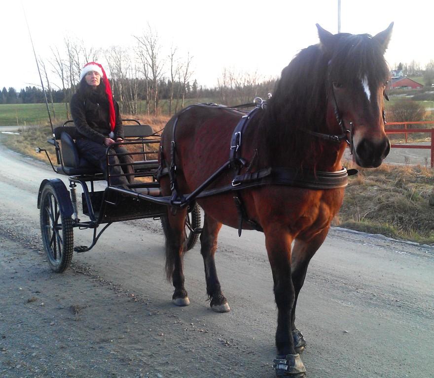 God Jul i väntan på snö och släde önskar