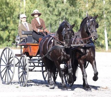 TÄVLING 17 SEPTEMBER Wermlands Körsällskaps tävling den 17 september med lokal och nationell klass genomfördes under perfekta förhållanden. Full sol och lagomt varmt.