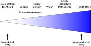 Figur 2. Patogenicitet av variant. Resultatet av den genetiska analysen är sällan binärt, utan värderas utifrån ett kontinuum från benign, troligen benign, VUS, troligen patogen och patogen.