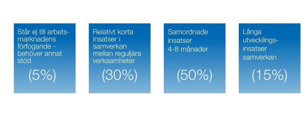 I en studie om insatser för unga beställda av Nationella rådet för finansiell samordning utförd av Tranquist utvärdering 2014 visas att ungdomar är en tongivande grupp inom samordningsförbundens