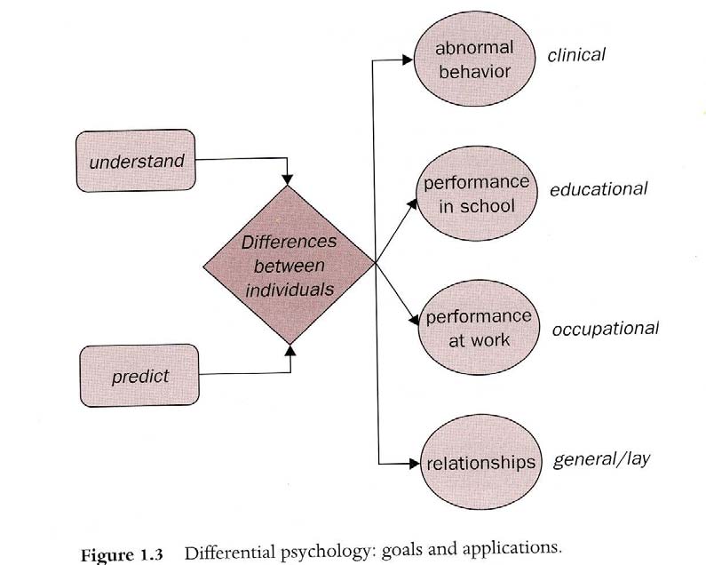 Differentiell Psykologi the branch of psychology that studies the nature, magnitude, causes and consequences of