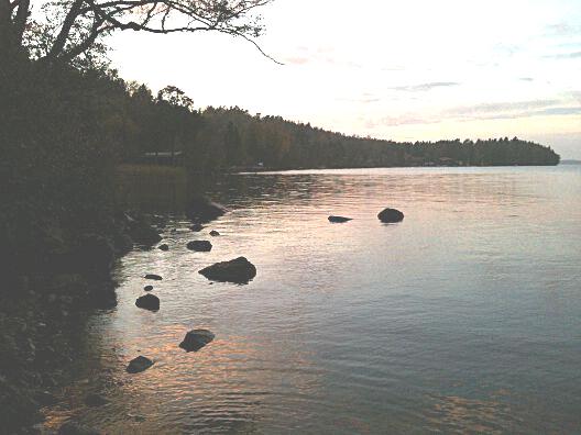 4. Mälaren - S Björkfjärden, Sandviken Datum: 2014-10-09 Flodområde: 61 Norrström Koordinat: 6573700/1597320 RT90 Proverna togs 20-30 m väster om piren.