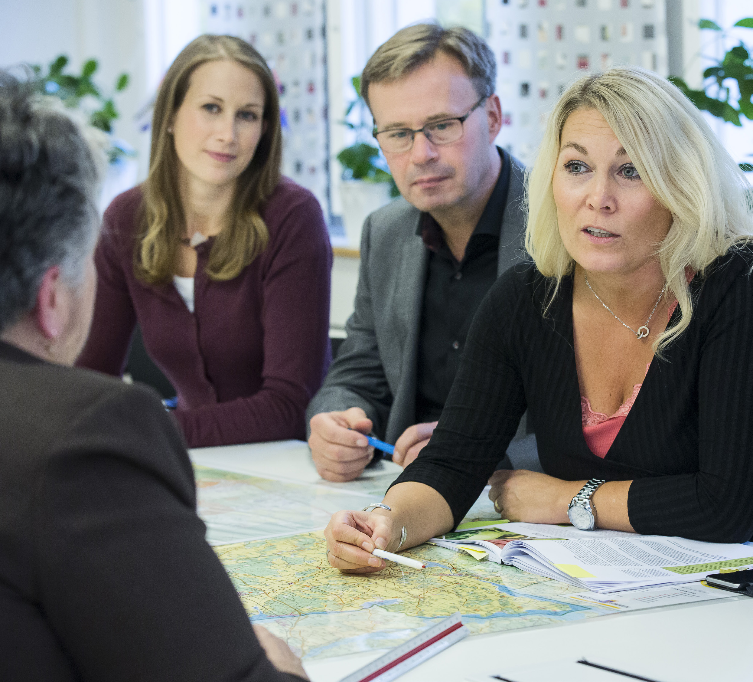 Kommunstyrelsens nämndplan 2017 Antagen