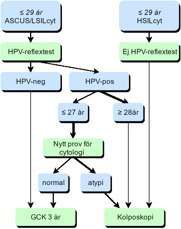 Flödesschema 1: Kvinnor 23 29 år 13.2.2 Kvinnor 30 t.o.m. 70 år (då HPV är primär screeninganalys) Triage med cytologi som reflextest.