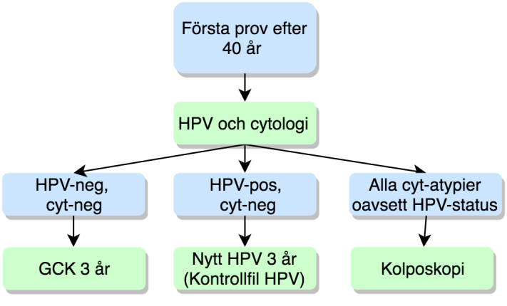 13.2.3 Vid första screeningprovet efter 40 års ålder Cellprovet analyseras för både HPV och cytologi.