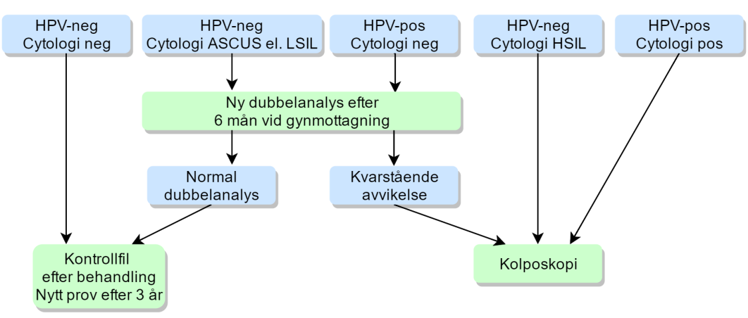 som finns för närvarande visar en ökande risk för cancer allteftersom kvinnor åldras.