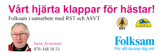 19:25 b Martin & Servera 180.001-625.000 kr. 2140 m. Autostart. 1 Pris: 30.000-13.500-8.500-5.700-3.650-(2.700) kr. Hederspris till segrande hästs ägare och körsven.