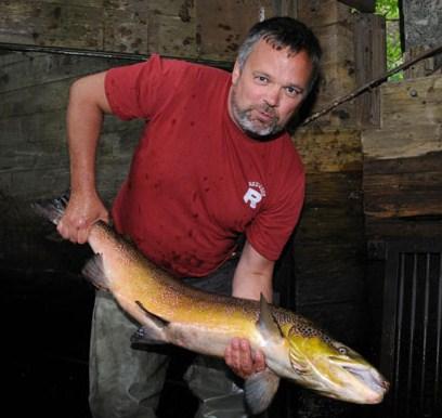 RESULTAT FRÅN FISKEVÅRDSARBETET I TESTEBOÅN 2010 Testeboån mellan havet och Oslättfors ingår i aktionsplanen för lax i Östersjön - IBSFC Salmon Action Plan 1997-2010.