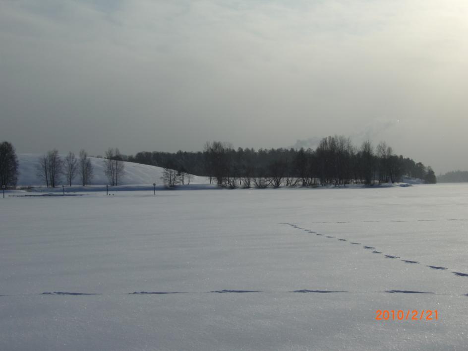 Foto 5.1 Tänkbar tomt vid Lövsta återvinningscentral för nyetablering av mottagningshamn sedd från norr. I förgrunden flytbrygga med belysningspollare ingående i hamn för fritidsbåtar.