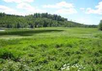 Delområden 1. Håmule vildmarkscamping Förutsättningar Allmänt Området ligger vid Ellenösjöns västligaste del och dess utlopp i Valboån i anslutning till Håmule gård. Det är idag obebyggt.