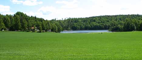 2. Ellenö Förutsättningar Allmänt Två mindre områden i södra delen av Ellenö samhälle, på ömse sidor av väg 172, nära Sundsbron.
