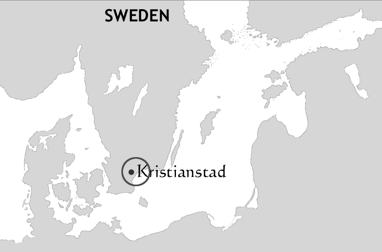 DEL II: BESKRIVNING Till myndigheter, organisationer, allmänhet m.fl. för synpunkter. 6.