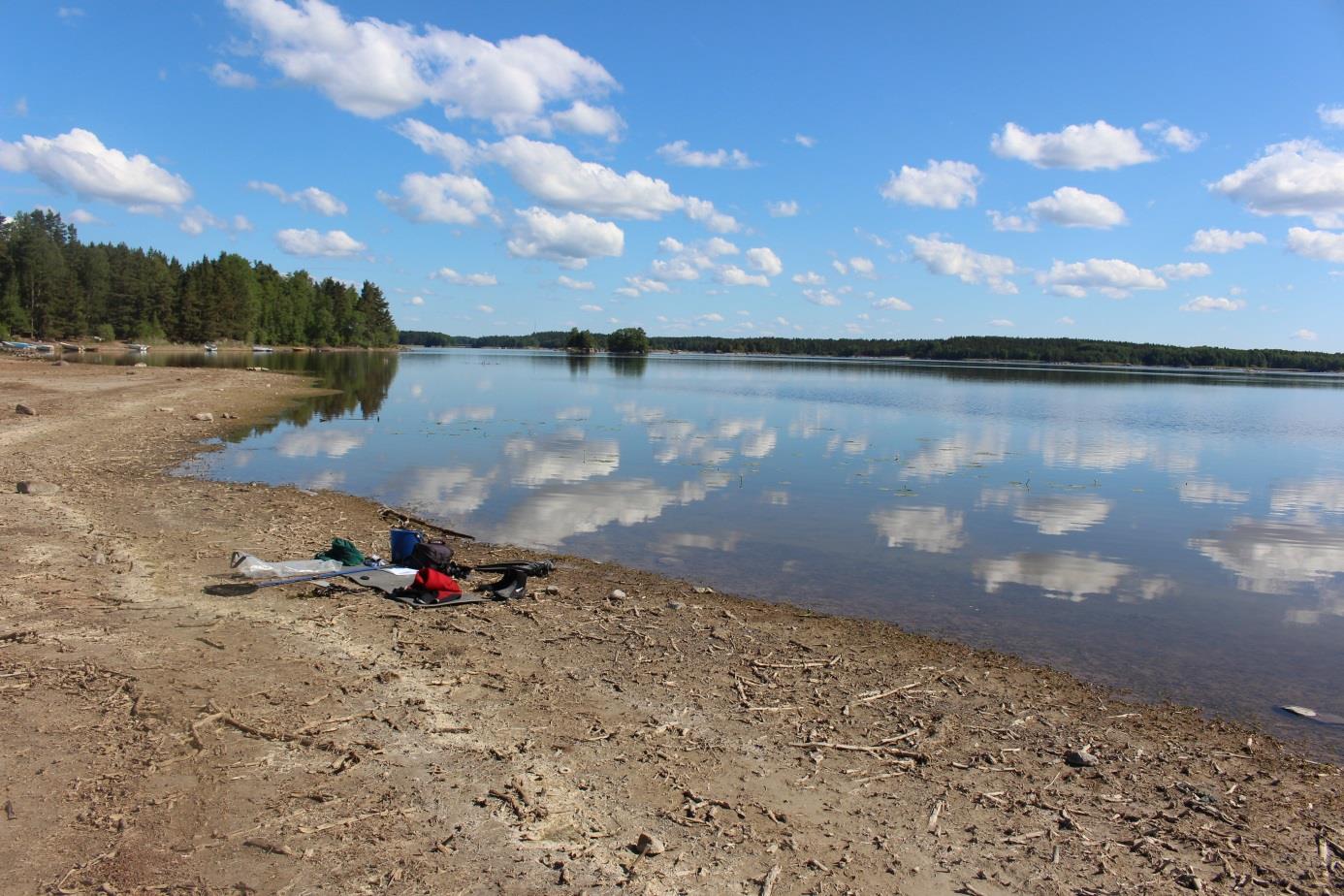 M2 Vid Gröpple sand, långa blottade stränder i och med det låga vattenståndet. Här var vattnet grumligt, sikten var endast 0,5 m. Djupet var 0-1 m. Här växte näckrosor och krusnate.