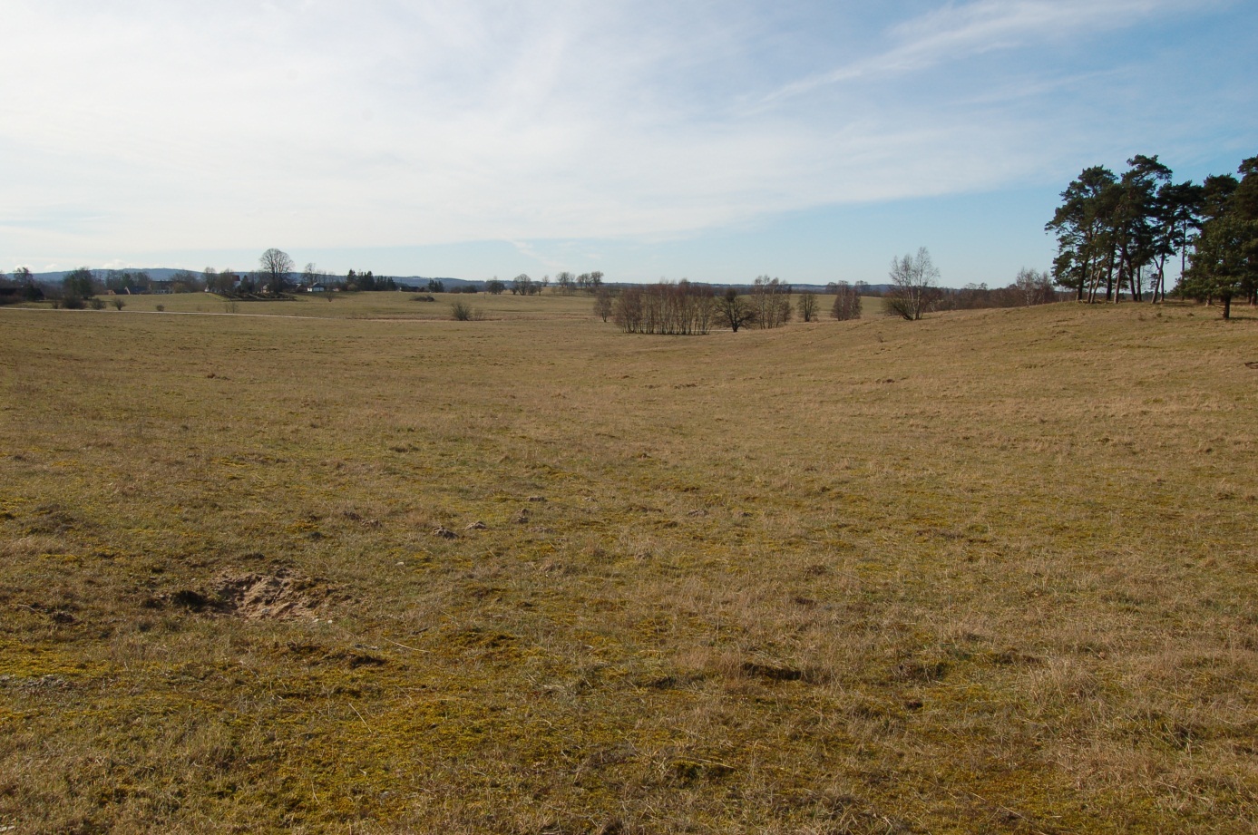 1 Sand Life (Life 11 NAT/SE/000849): Restaureringsplan för Natura 2000-området Revingefältet (SE0430113) i Lunds kommun Revingefältets vidsträckta inlandssanddyner ner mot Krankesjön. Figur 1.