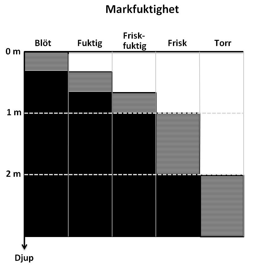 11.7.4 Jordmånsbeskrivning och markprovtagning Variabler Markfuktighet (grop) både vatten och luft i porerna och vattnets tryck är där mindre än atmosfärens. Fig. 11.7.4.1 Schematisk skiss.