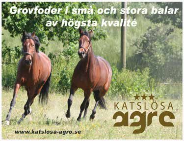 Båda hästarna kördes elegant av Christoffer Eriksson och totalt blev det 0.000 nok in till stallet. Därmed passerade Riordan åter Mkr-strecket i inkörda pengar - ifjol blev det, Mkr.