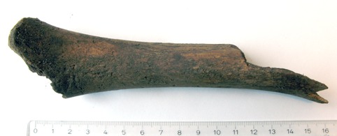 Schakt 1 Schaktet, om 1 x 1 meter innehöll mörk jord till en nivå av 0,4 meter under markytan (se bild föregående sida). Här övergick kulturlagret i orörda sandlager.