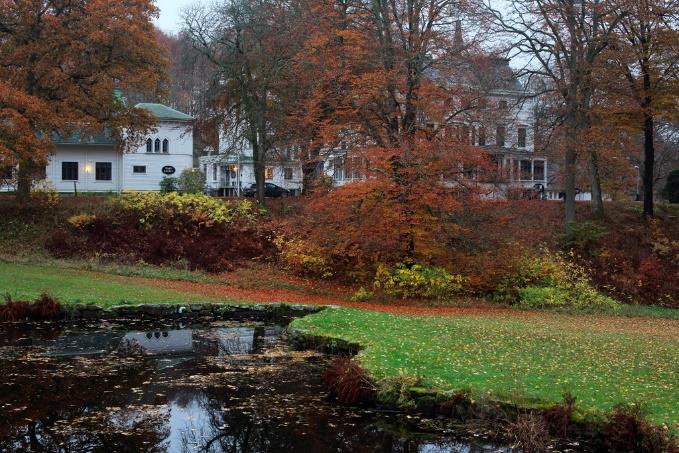 första hand att behålla fladdermössens kommunikationsmöjligheter mellan boplatser och jaktområden vid sjöarna, det vill säga att undvika att spärra av dem med lampor. b. Wendelsberg Wendelsbergsparken domineras av ädellövskog.