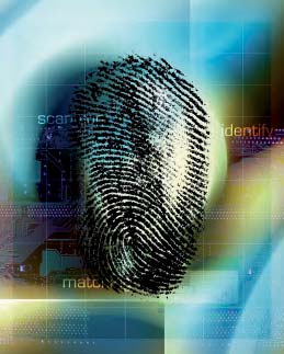 För dessa ansvarsområden har det hållits regelbundna möten och tagits informella kontakter mellan datatillsynsmannen och kommissionens organ för att diskutera olika aspekter av övervakningsuppdraget.