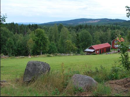 Historia, kultur, natur och flora i en finnmarksby Lars-Erik Nilsson, Borlänge Håvbergets by i sydöstra Vansbro k:n och som hör till Nås östra finnmark, ligger på berget Håvbergets sydsluttning 8 km