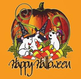 MINNESUTSTÄLLNING MED HALLOWEENTEMA SVEMUS årliga utställning för SVEMUS grundare Gunvor Lundblad, som lämnade oss med stor tomhet på självaste julafton 1995.