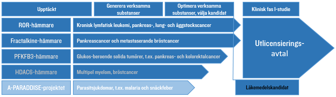 Kancera (bolaget) grundades i maj 2010 av forskare från cancercentrum på Karolinska Institutet, inovacia AB och en grupp privata investerare.