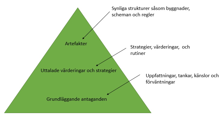 organisationens grundläggande antaganden om lärande och kunskap. 13 Det är de grundläggande antaganden som utgör grunden för en organisationskultur.