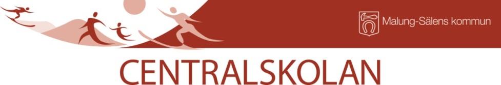Verksamhetsformer som omfattas av planen: Grundskolan och Grundsärskolan 6-9 Planen gäller 161015-171014 CENTRALSKOLANS ÅRLIGA PLAN FÖR ATT - främja likabehandling - förebygga