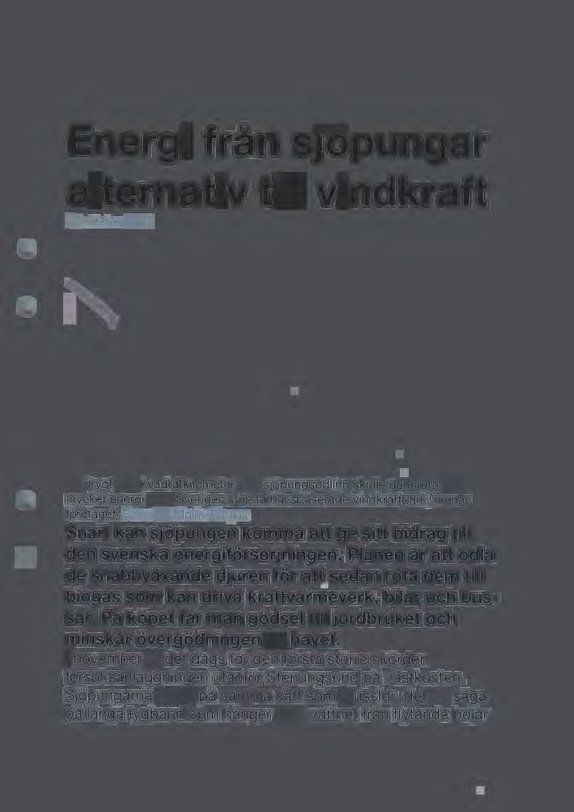 Energi från sjöpungar alternativ till vindkraft 17 oktober 2015 En drygt fem kvadratkilometer stor sjöpungsodling skulle generera lika mycket energi som Sveriges största havsbaserade vindkraftpark,