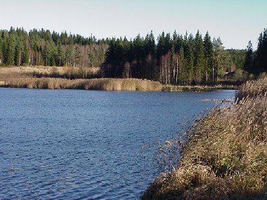 Kompletterande huvudstudie av förorenade sediment i Viskan Rapport VISKAN 2009:07 Sammanfattande resultatredovisning, riskbedömning och åtgärdsutredning Beställare: Borås Stad,