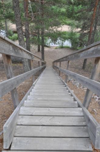 Söndag 9 juli är sista dagen på orienteringen i hälsingeskogarna Efter avslutad tävling lämnar vi