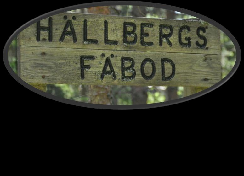 Tisdag 11 juni 2013 Idag har vi tänkt oss en vandring på drygt en mil. Målet är Hällbergs fäbod norr om Grönklitt i Orsa. Vandringen går genom skog och över myrar.