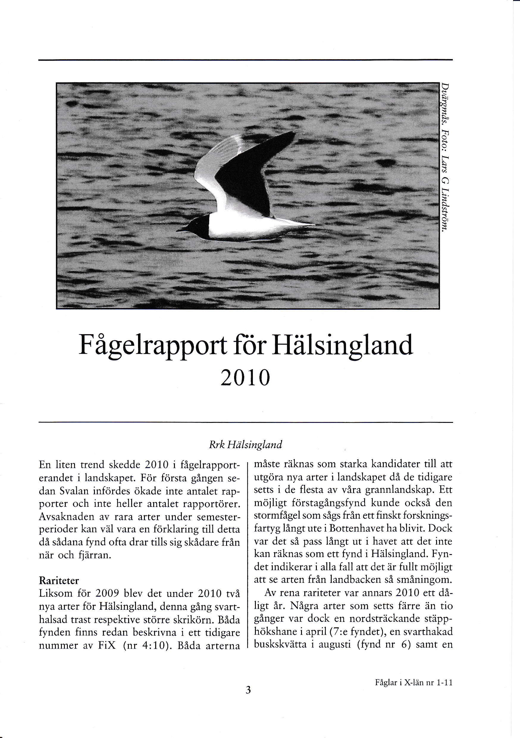 ? t C C *. ä F. * o: F ågelrapport for Hälsingland 2010 Rrk Hälsingland En liten trend skedde 2010 i fågelrapporterandet i landskapet.