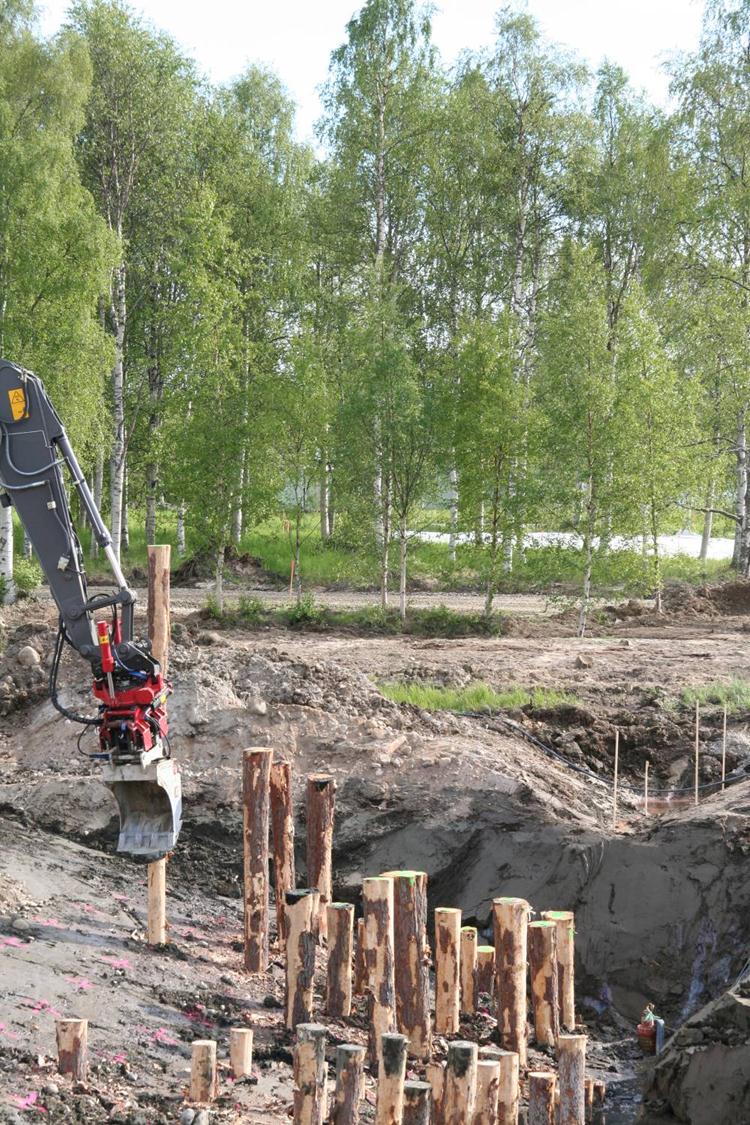 Skog Klimat Miljö Tillväxt eller