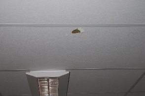 Allmät Takplattor Klotter fis på måga väggar över hela skolbyggade. E skola är uta klotter skapar e god arbetsmiljö. Trasiga takplattor, ger ett ovårdat itryck. Det påverkar alla arbetar på skola.