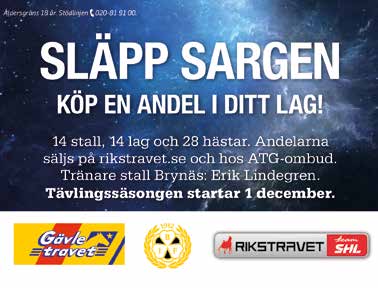 KVALLOPP KVALTIDER VARMBLOD.,0 - -åriga.,0 - -åriga.,0 - -åriga & äldre.,0 - montékval KVALTIDER KALLBLOD.,0- -åriga.0,0- -åriga.,0 - -åriga & äldre.,0 - montékval PREMIETIDER Varmblod -åriga.,0-.,0 Kallblod -åriga.