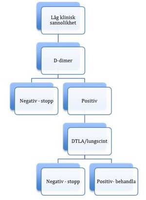 Cancerbehandling inom 6 månader eller palliation 1 Lungembolism lika troligt eller troligare än alternativ diagnos (baserat på sjukhistoria, aktuell anamnes, status, lungröntgen, EKG,