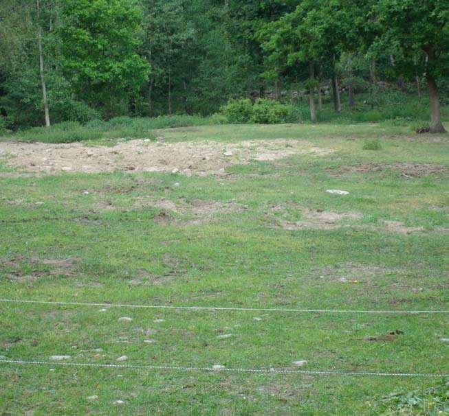 Foto: Patrik Nilsson Figur 8. Välbetad, mycket trampskadad mark med torrängsvegetation (lokal 29). Stora partier med brutet vegetationstäcke och blottad sand.