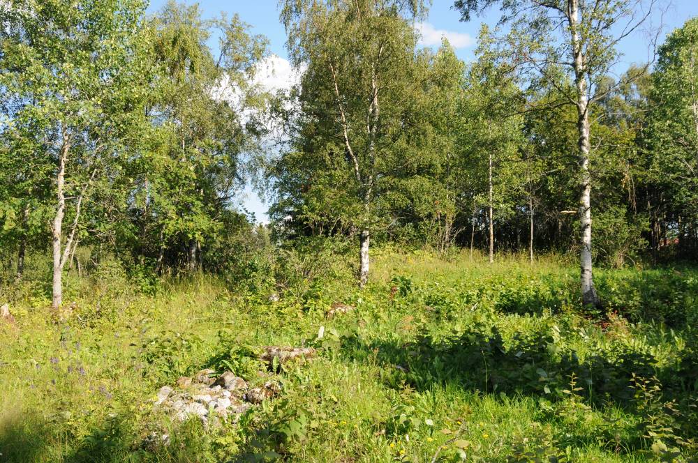 2. Syfte och frågeställningar Undersökningens syfte var att kartlägga de befintliga lämningarna inom området, att medelst schaktgrävning utröna ifall ytterligare fornlämningar fanns inom området samt