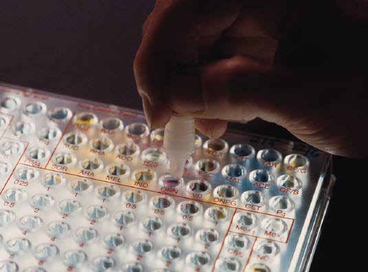 Biotech-IgG koncernen Biotech-IgG är leverantör av ett brett sortiment av högkvalitativa produkter för sjukvårdsdiagnostik samt för forskning, rutin- och processapplikationer för LifeScience och